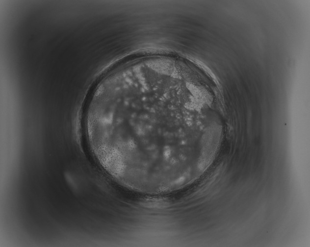 X0000100890487200807151100