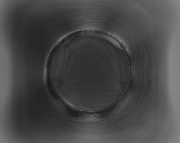 X0000100890488200807151100