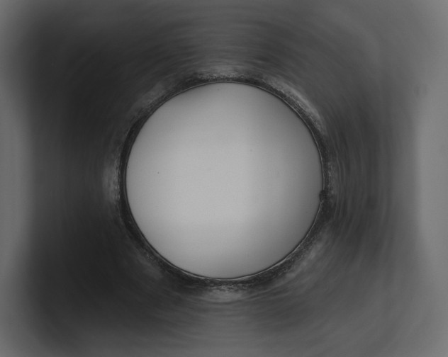 X0000100890489200807151100