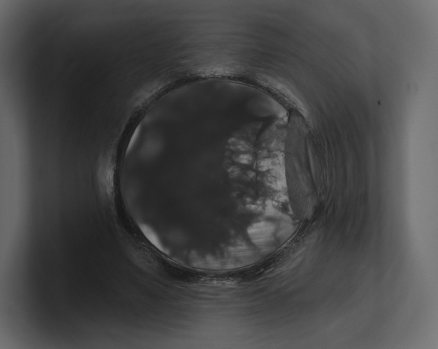 X0000100890491200807151100