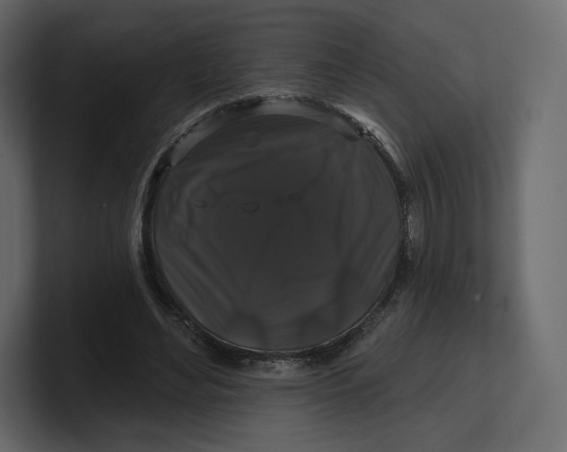 X0000100890492200807151100