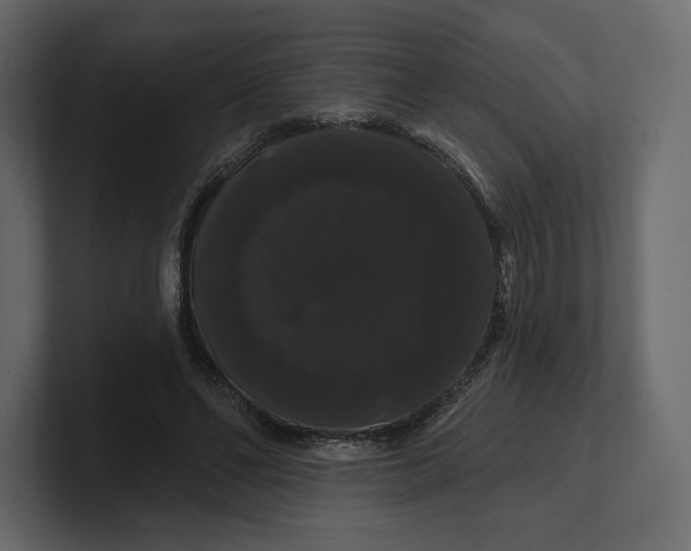 X0000100890494200807151100