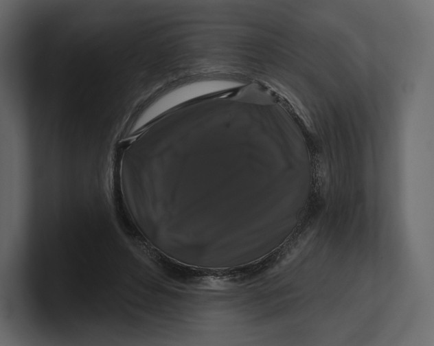 X0000100890496200807151100