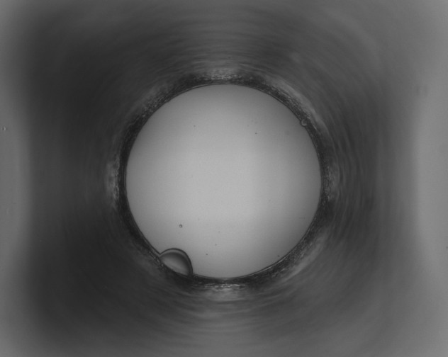 X0000100890497200807151100