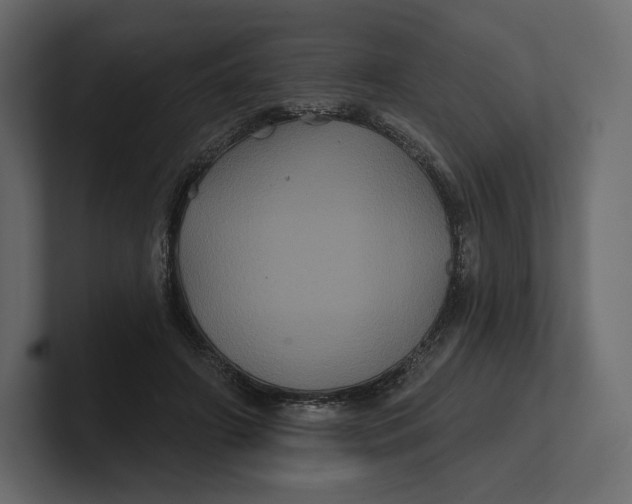 X0000100890498200807151100