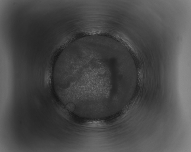 X0000100890499200807151100