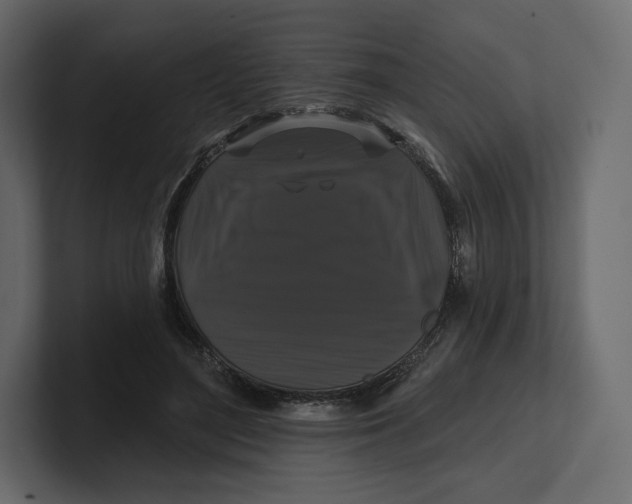 X0000100890500200807151100