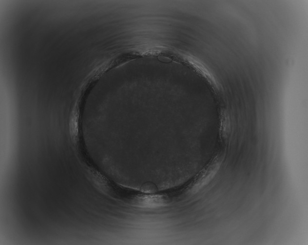 X0000100890501200807151100