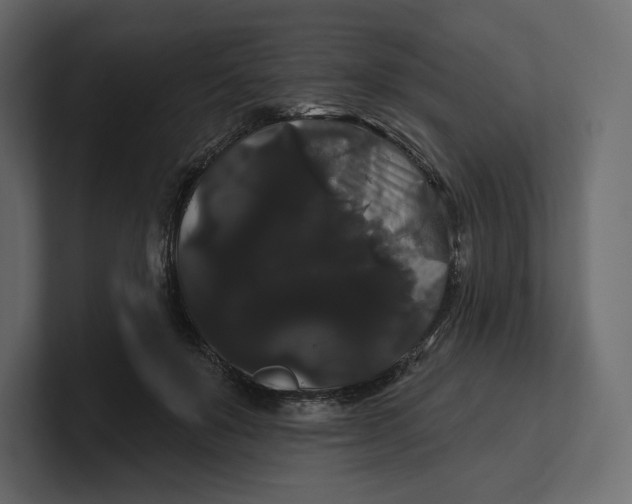 X0000100890503200807151100