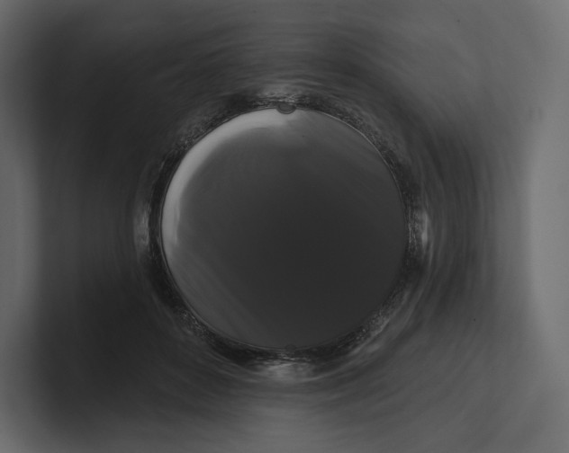 X0000100890504200807151100