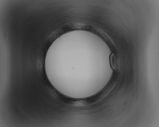 X0000100890505200807151100