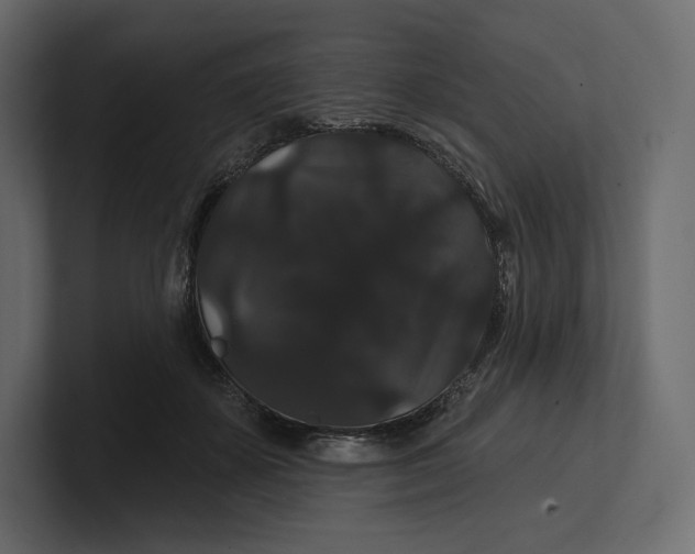 X0000100890507200807151100