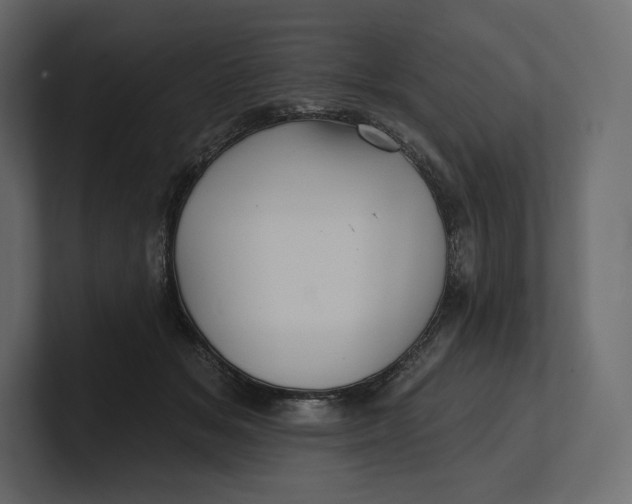 X0000100890509200807151100