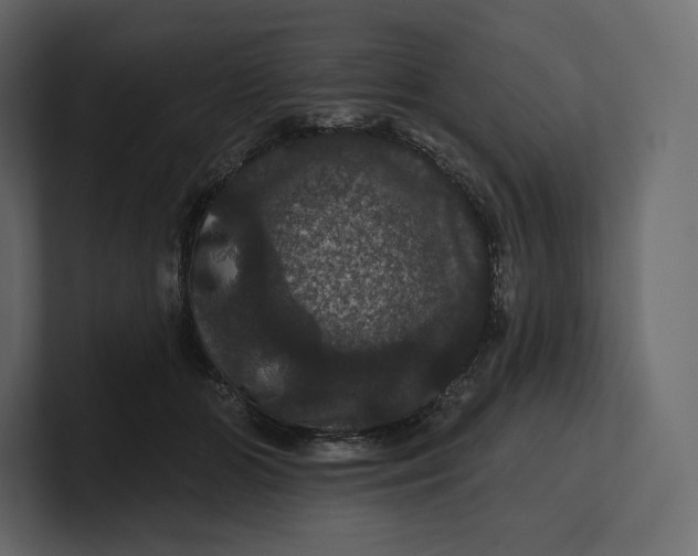 X0000100890510200807151100