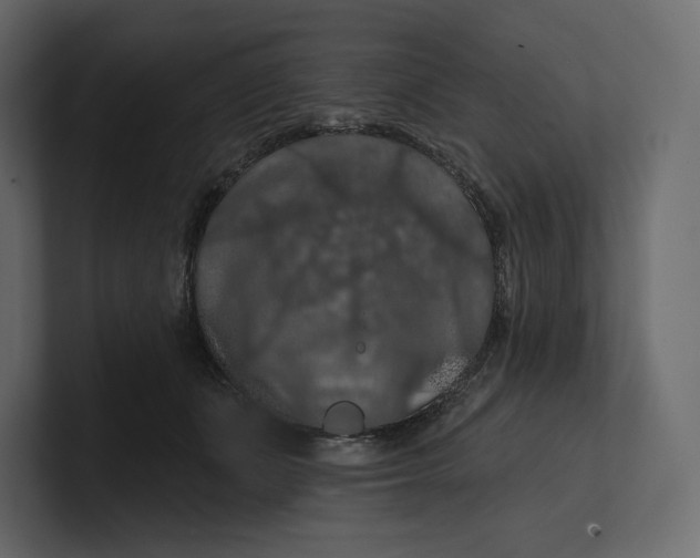 X0000100890511200807151100