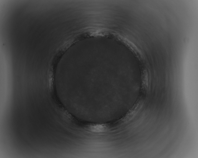 X0000100890513200807151100