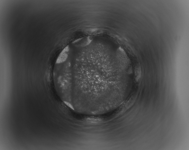 X0000100890515200807151059