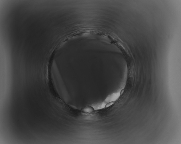 X0000100890516200807151059