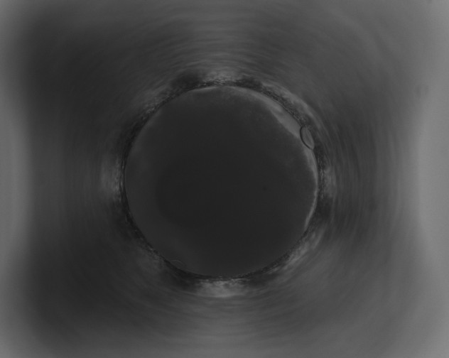 X0000100890517200807151059