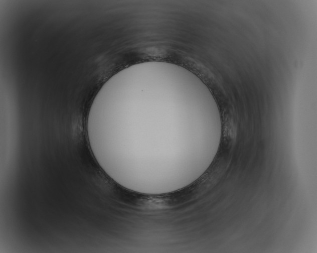 X0000100890518200807151059