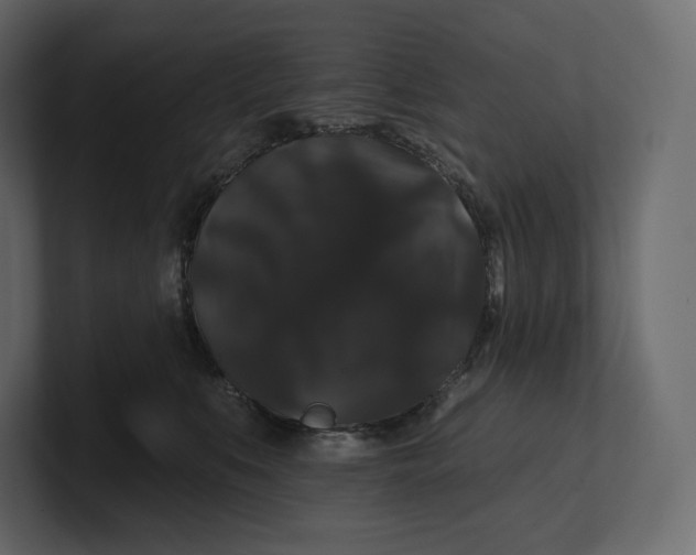 X0000100890519200807151059