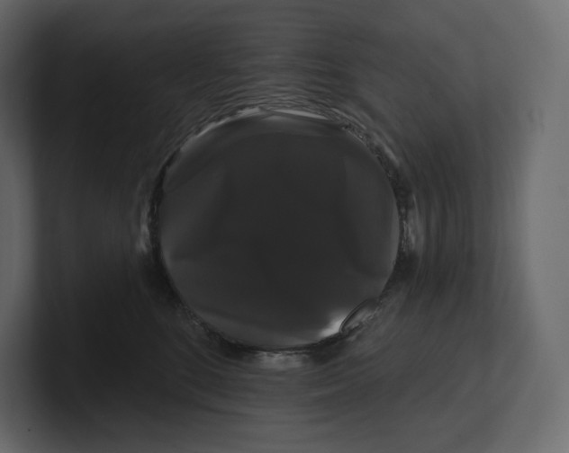 X0000100890520200807151059