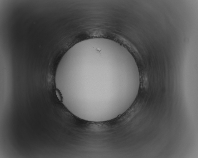 X0000100890521200807151059