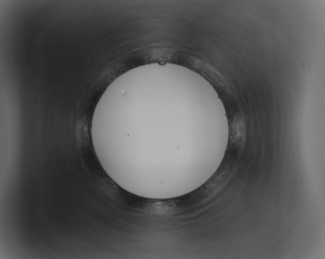 X0000100890522200807151059