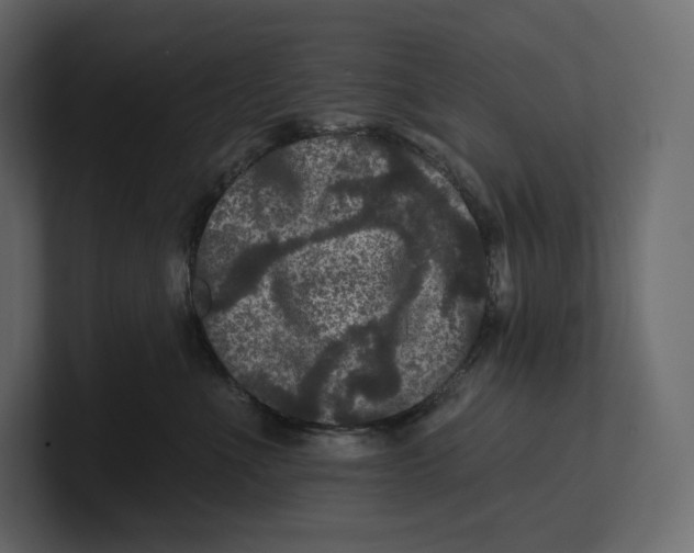 X0000100890523200807151059