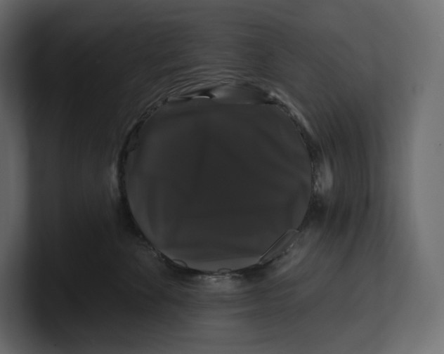 X0000100890524200807151059