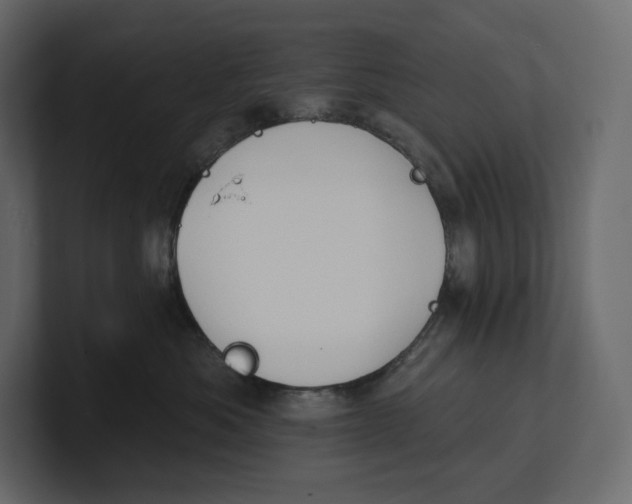 X0000100890525200807151059