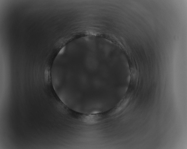 X0000100890527200807151059