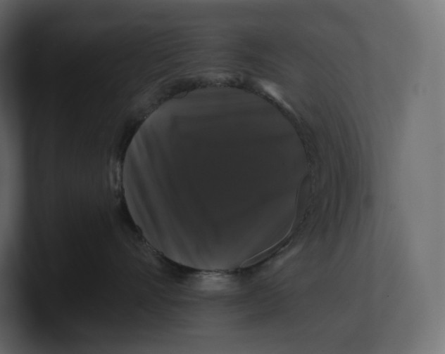 X0000100890528200807151059