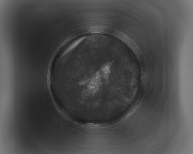 X0000100890530200807151059