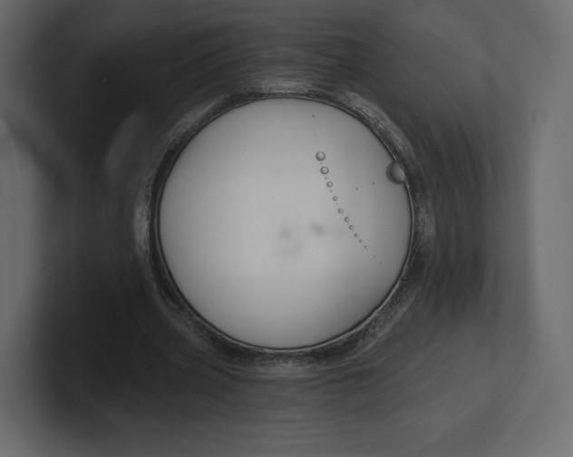 X0000100890533200807151059