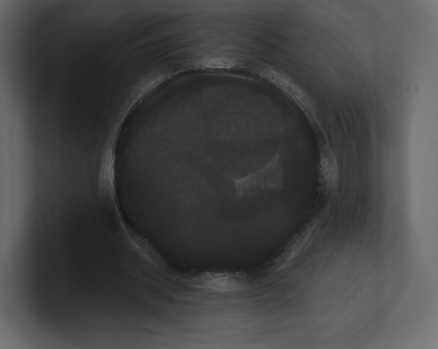 X0000100890534200807151059