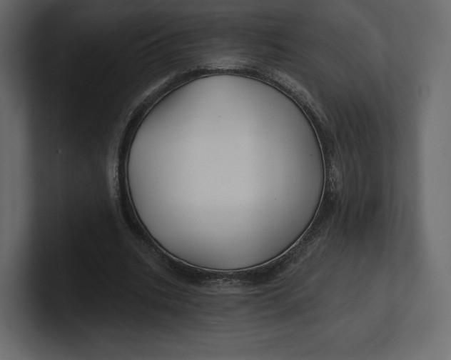 X0000100890535200807151059