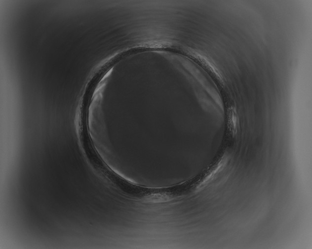 X0000100890536200807151059