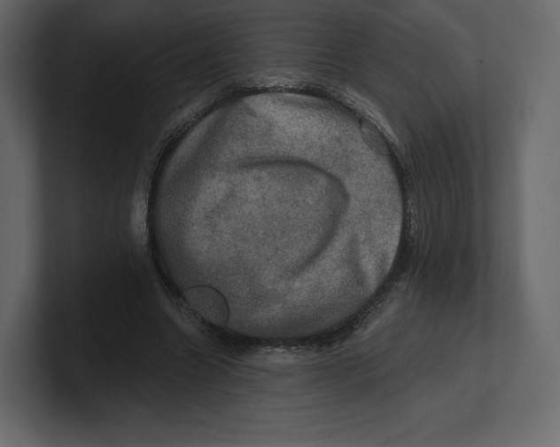 X0000100890538200807151059