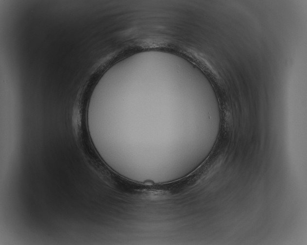 X0000100890539200807151059