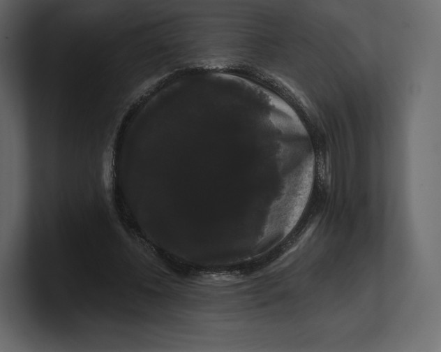 X0000100890540200807151059