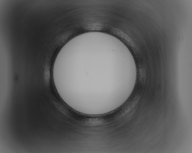 X0000100890541200807151059