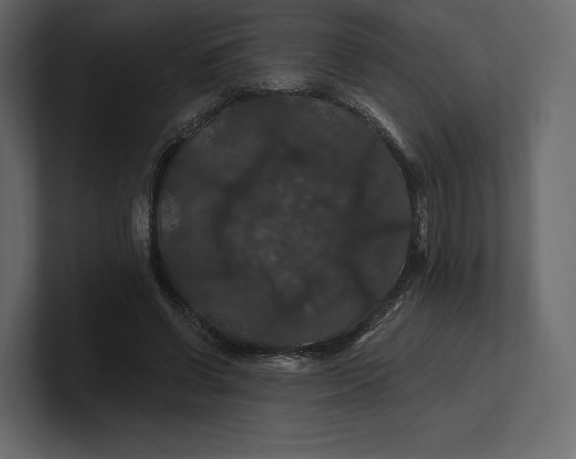 X0000100890542200807151059