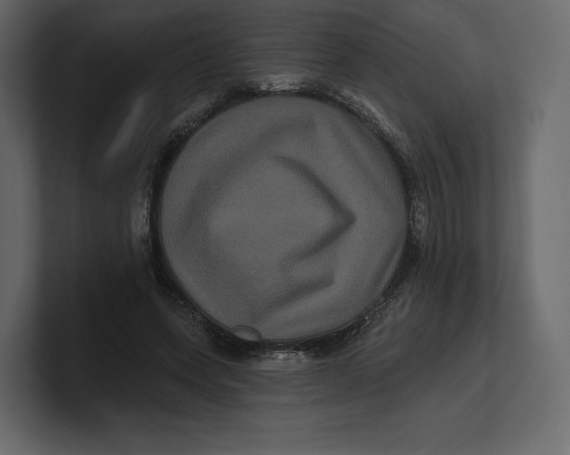 X0000100890543200807151059