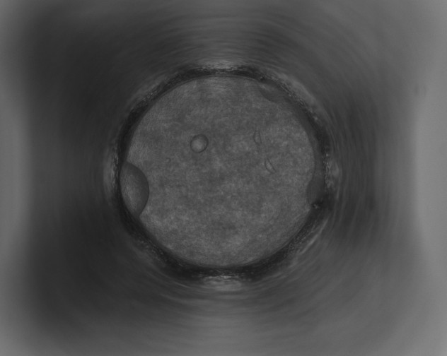 X0000100890544200807151059