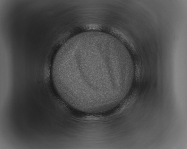 X0000100890545200807151059