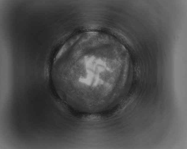 X0000100890546200807151059