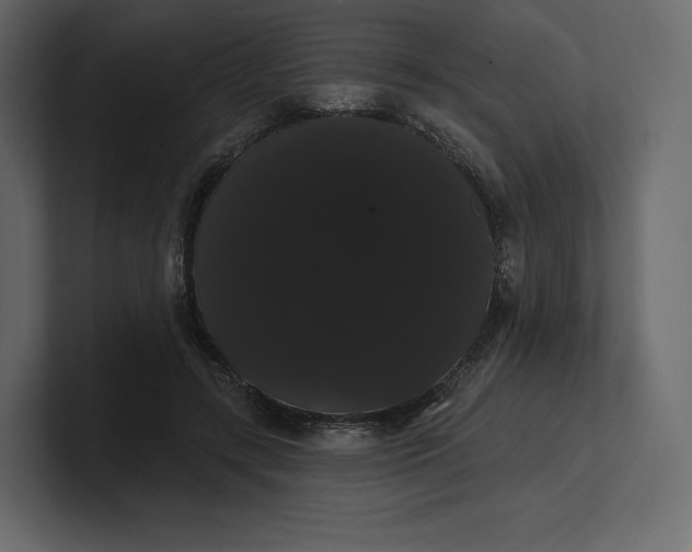 X0000100890547200807151059