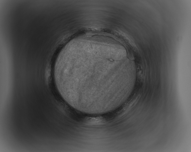 X0000100890548200807151059