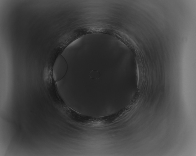 X0000100890551200807151059